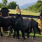 Goralski Piwowarowka