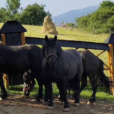 Goralski Piwowarowka