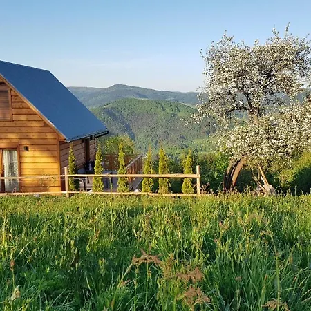 Goralski Piwowarowka 别墅 *