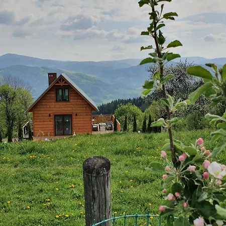 Villa Goralski Piwowarowka *