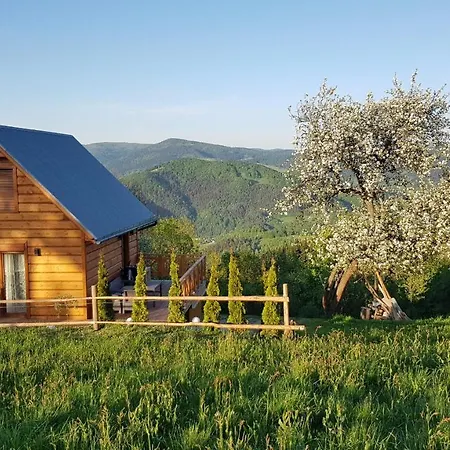 Goralski Piwowarowka 别墅