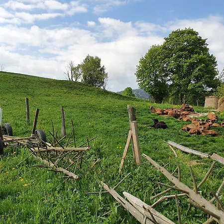 Goralski Piwowarowka Villa Piwniczna-Zdroj