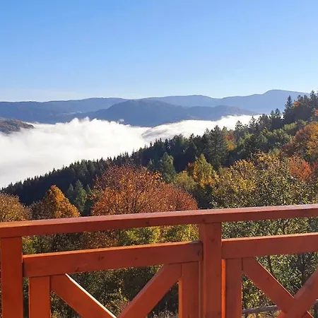 Goralski Piwowarowka 别墅