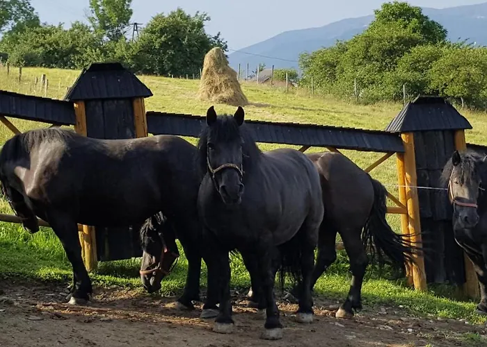 Goralski Piwowarowka