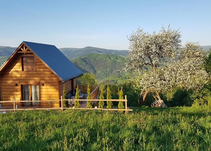 Goralski Piwowarowka Villa