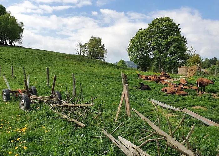 Goralski Piwowarowka Villa Piwniczna-Zdroj